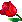 53 53